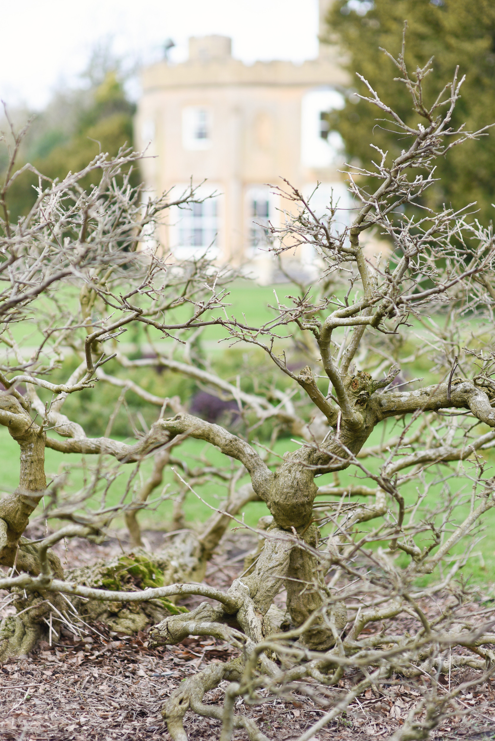 nonsuch mansion, nonsuch mansion styled shoot, nonsuch mansion surrey, surrey wedding photography, surrey wedding venue