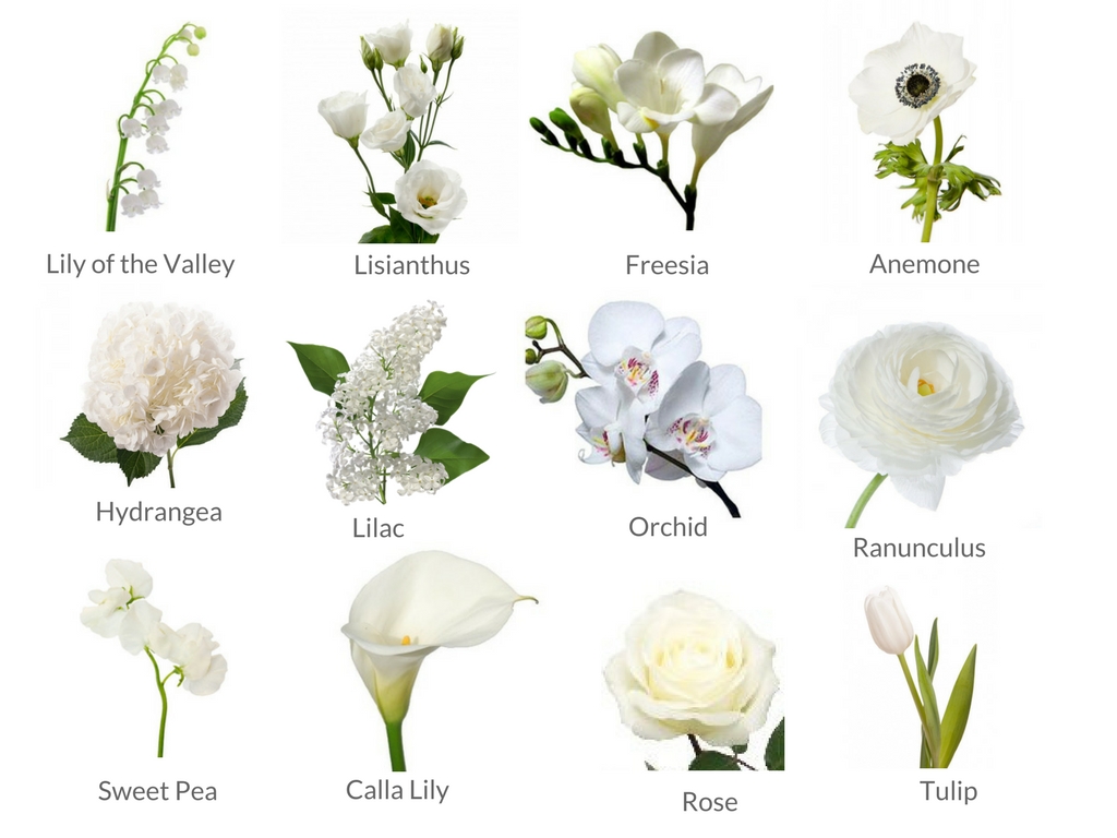 types of flowers for weddings